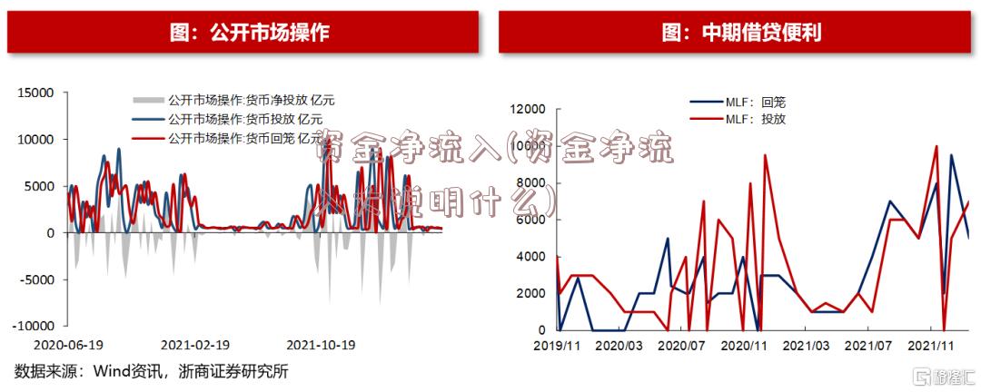 资金净流入(资金净流入大说明什么)