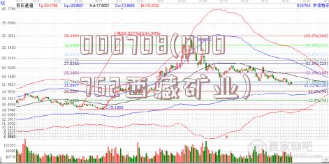 000708(000762西藏矿业)