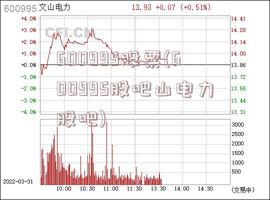 600995股票(600995股吧山电力股吧)