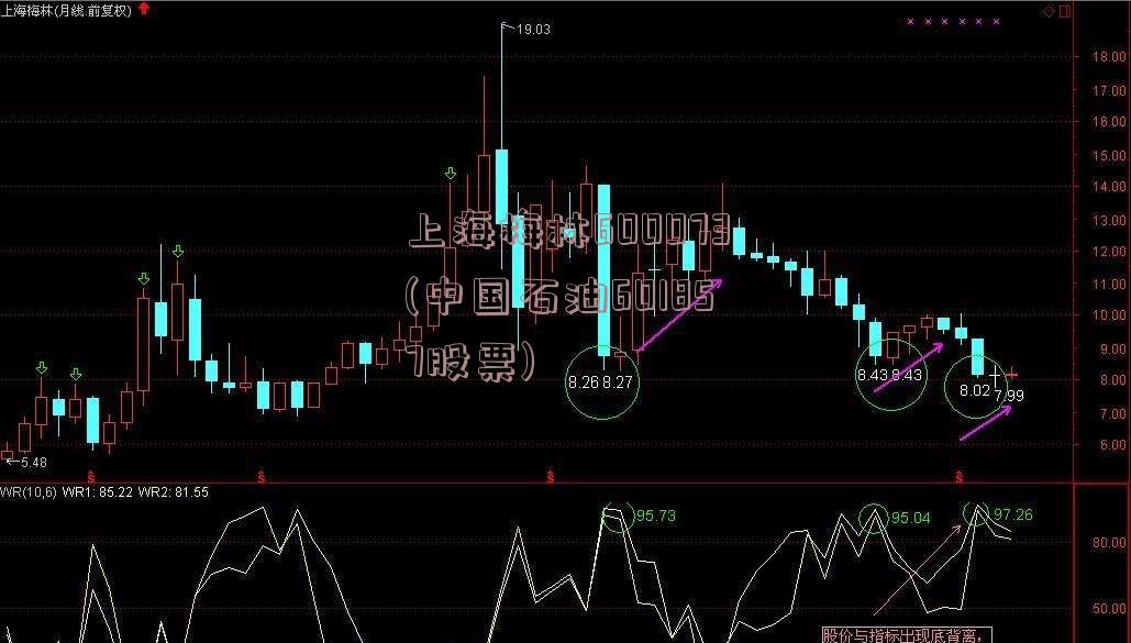 上海梅林600073(中国石油601857股票)