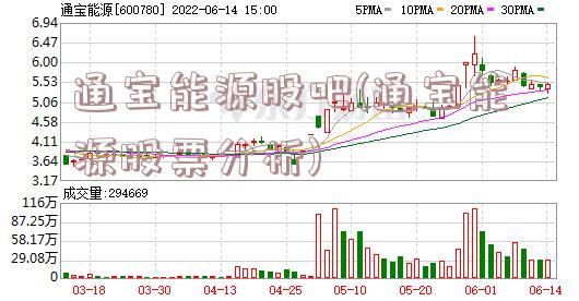 通宝能源股吧(通宝能源股票分析)