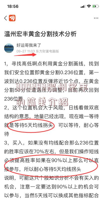 300283温州宏丰的简单介绍