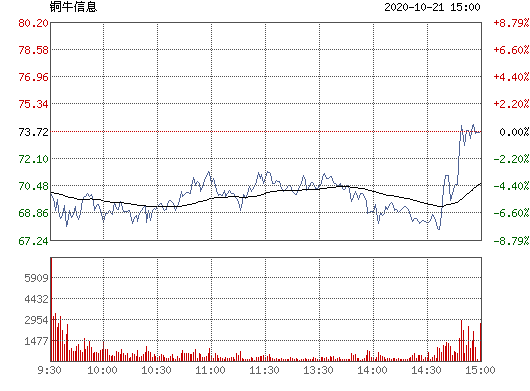 铜牛信息(北京铜牛信息科技)