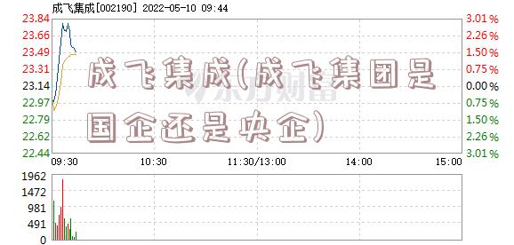 成飞集成(成飞集团是国企还是央企)