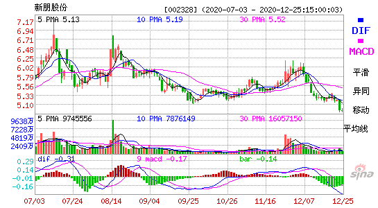 新朋股份(上海新朋股份有限公司)