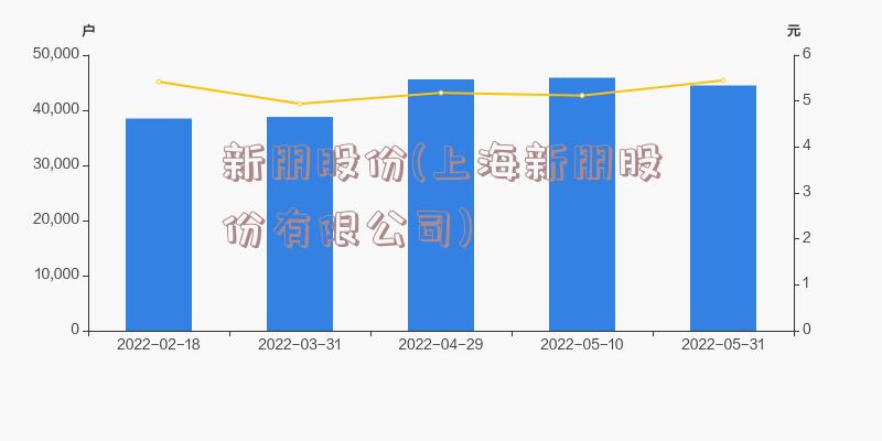 新朋股份(上海新朋股份有限公司)