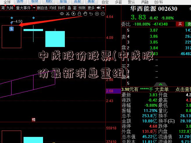 中成股份股票(中成股份最新消息重组)