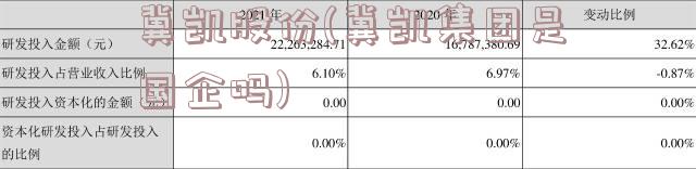 冀凯股份(冀凯集团是国企吗)