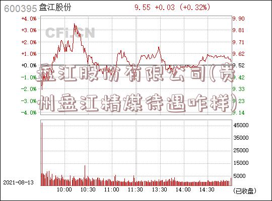 盘江股份有限公司(贵州盘江精煤待遇咋样)