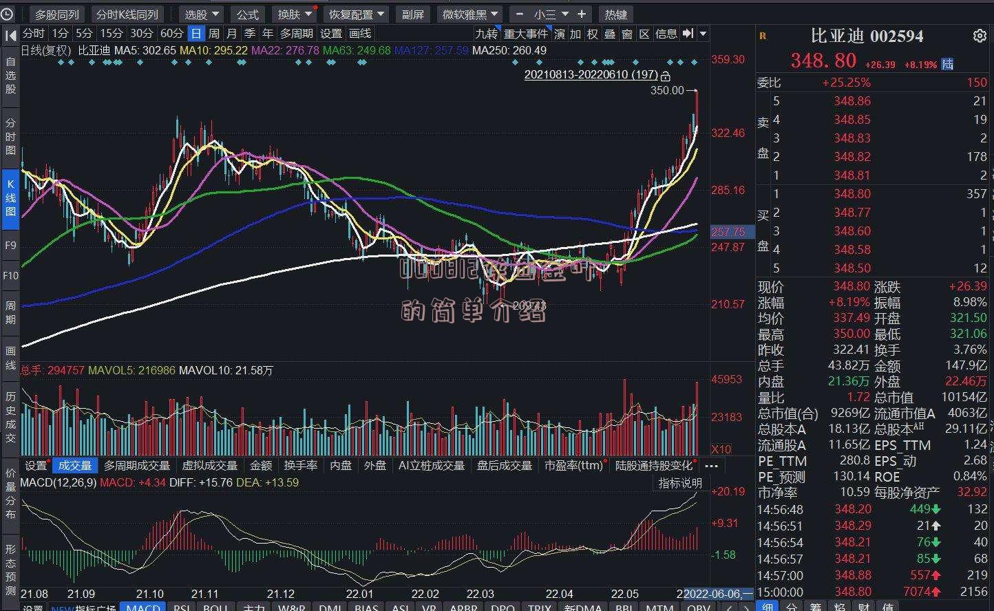 000812陕西金叶的简单介绍