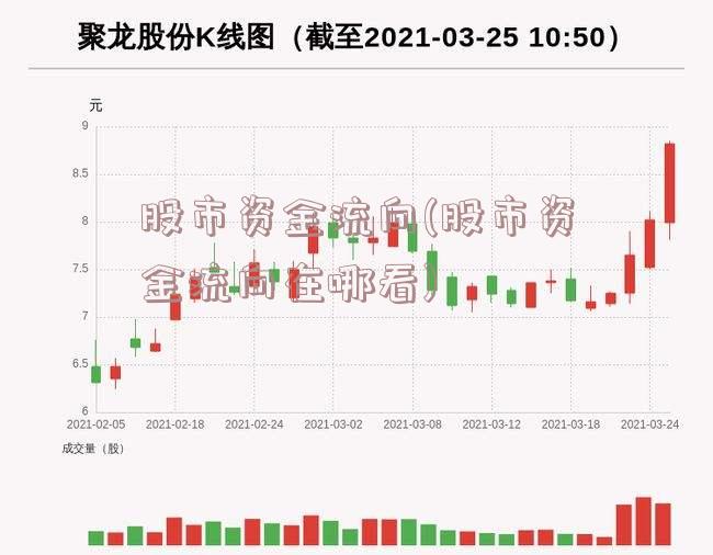 股市资金流向(股市资金流向在哪看)