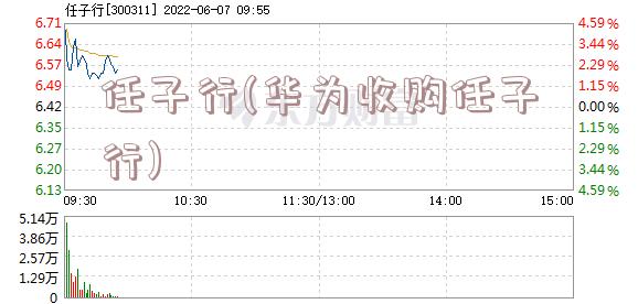 任子行(华为收购任子行)