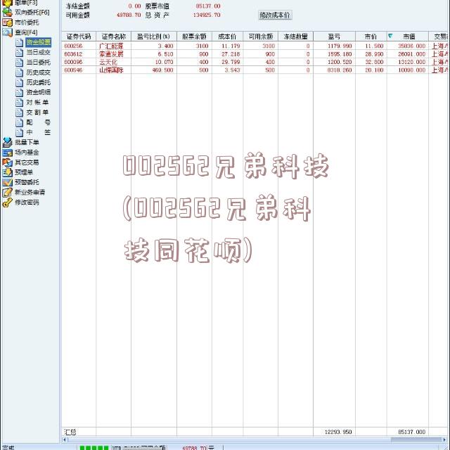 002562兄弟科技(002562兄弟科技同花顺)