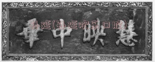 孙延(孙延欢乐口腔)