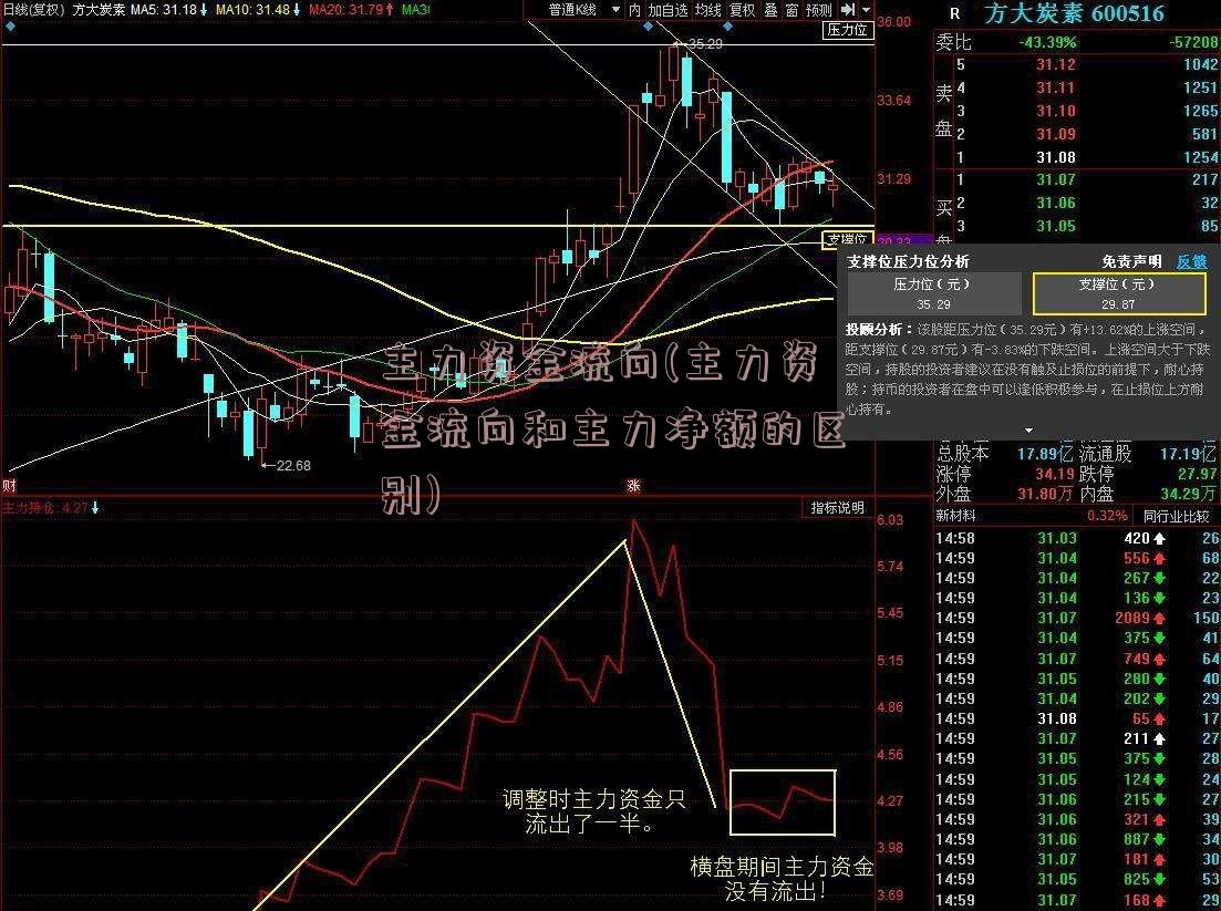 主力资金流向(主力资金流向和主力净额的区别)