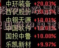 国投中鲁股票(600962国投中鲁重组)