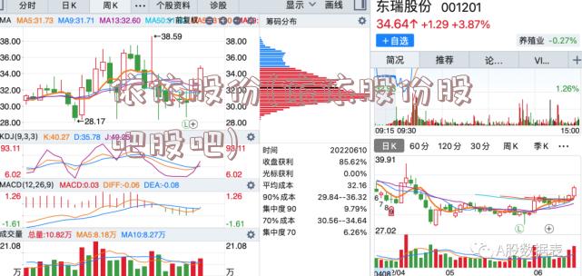 依依股份(依依股份股吧股吧)