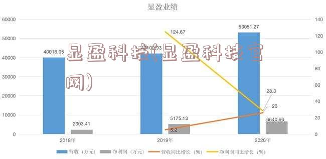 显盈科技(显盈科技官网)