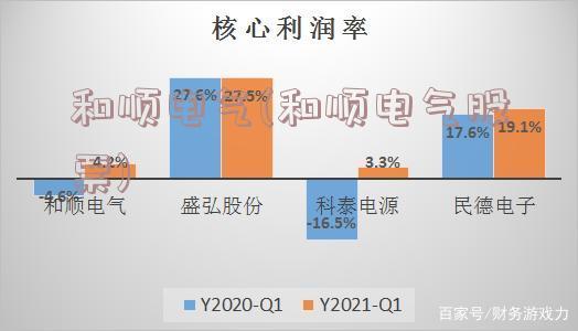 和顺电气(和顺电气股票)