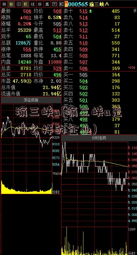 渝三峡a(渝三峡a是什么样的企业)