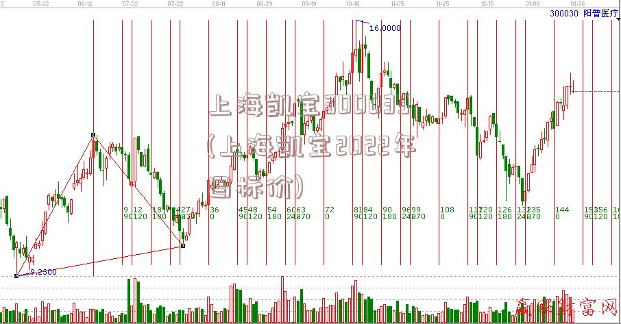 上海凯宝300039(上海凯宝2022年目标价)