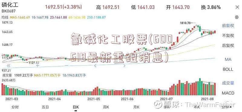 氯碱化工股票(600618最新重组消息)