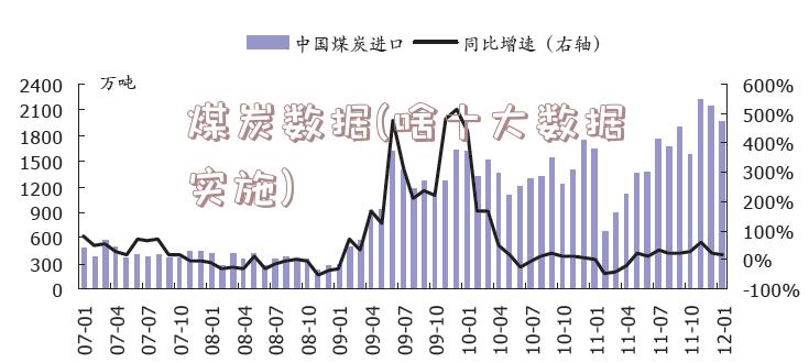 煤炭数据(啥十大数据实施)