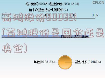 高鸿股份000851(高鸿股份是国企还是央企)