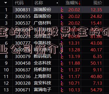 金岭矿业股票(金岭矿业公司简介)