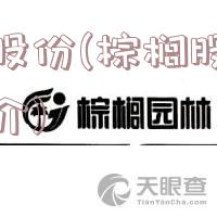 棕榈股份(棕榈股份公司简介)