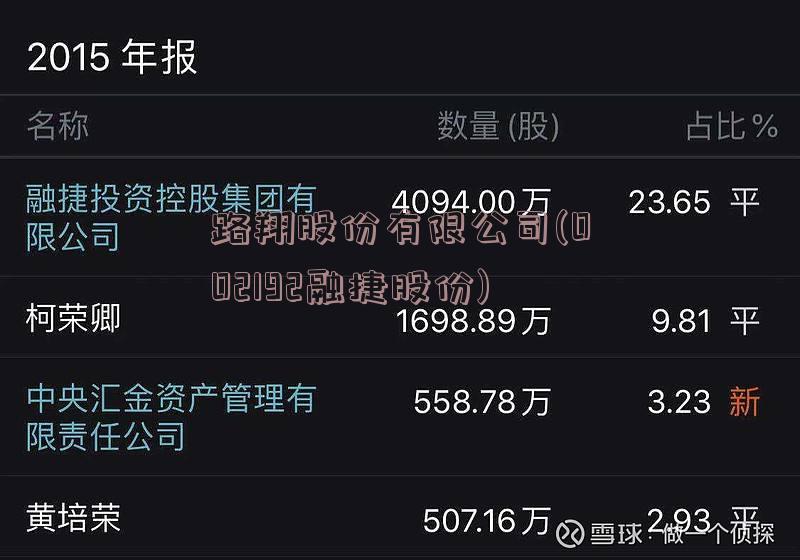 路翔股份有限公司(002192融捷股份)