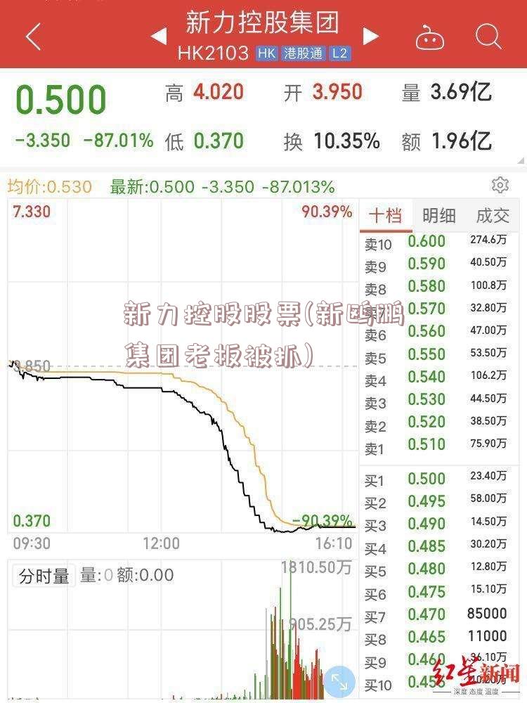 新力控股股票(新鸥鹏集团老板被抓)