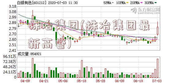 株冶集团(株冶集团最新高管)