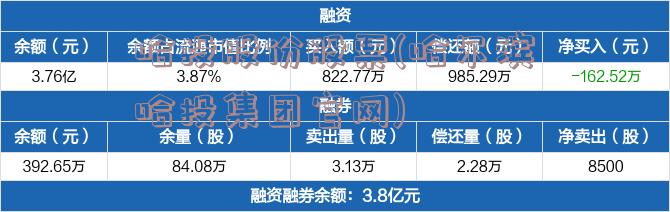 哈投股份股票(哈尔滨哈投集团官网)