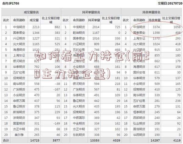 如何看主力持仓(前20主力持仓量)