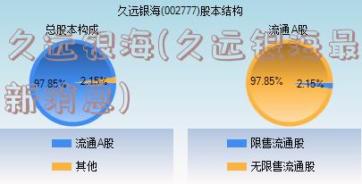 久远银海(久远银海最新消息)