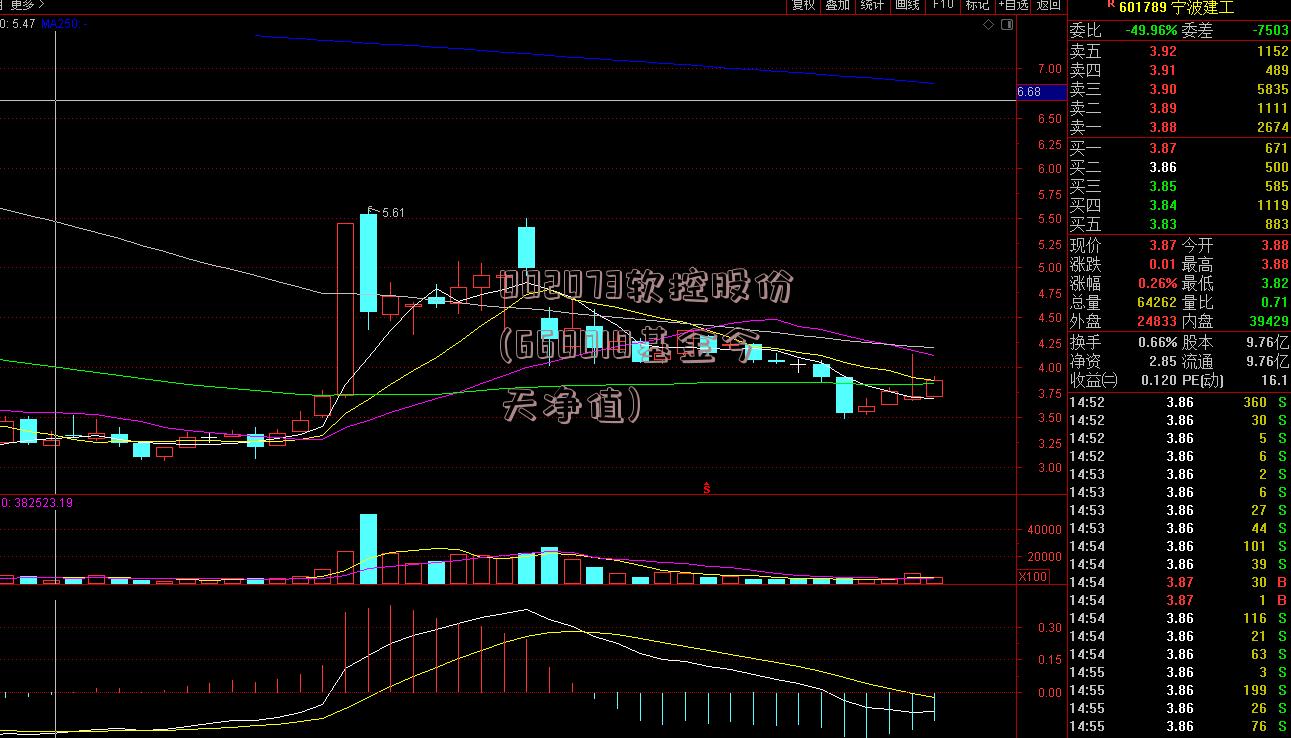 002073软控股份(660010基金今天净值)