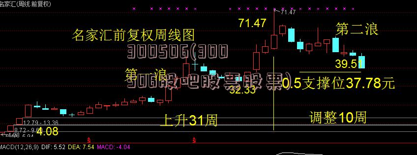 300506(300506股吧股票股票)