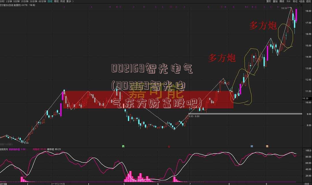 002169智光电气(002169智光电气东方财富股吧)