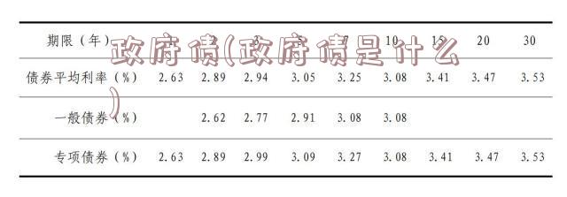 政府债