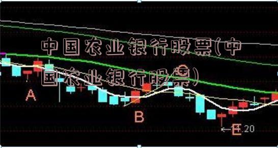 中国农业银行股票