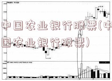 中国农业银行股票