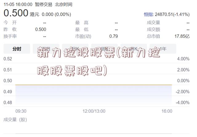 新力控股股票