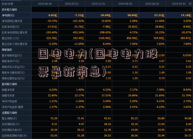 国电电力