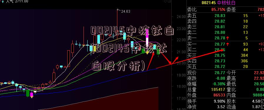 002145中核钛白(002145中核钛白股分析)