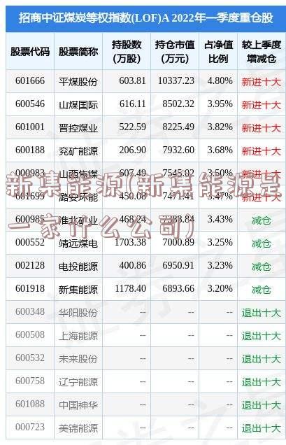 新集能源(新集能源是一家什么公司)