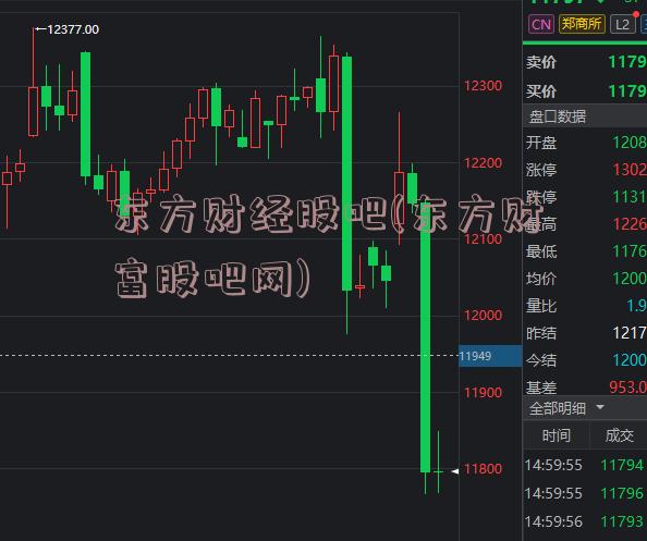 东方财经股吧(东方财富股吧网)