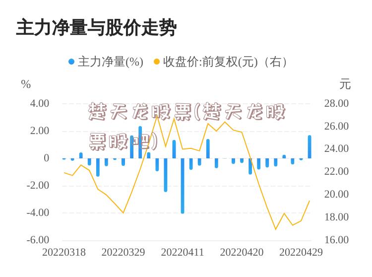 楚天龙股票(楚天龙股票股吧)