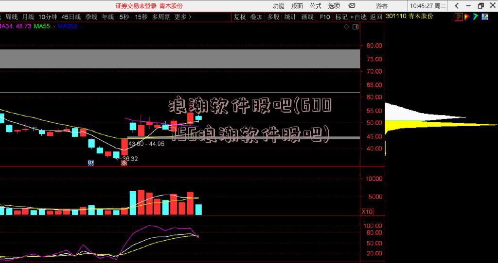 浪潮软件股吧(600756浪潮软件股吧)