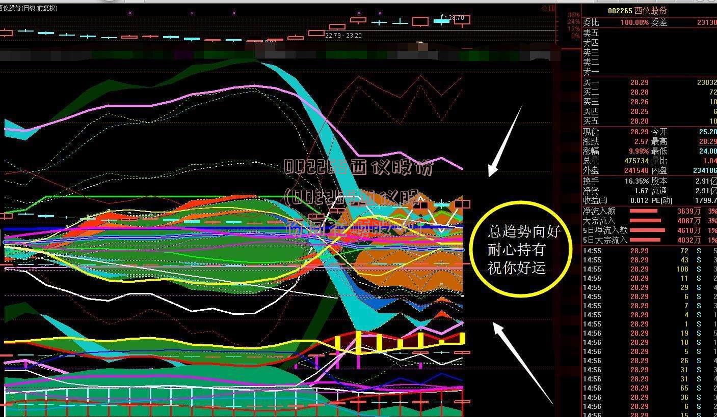 002265西仪股份(002265西仪股份同花顺股吧)